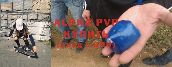 гашик Алексеевка