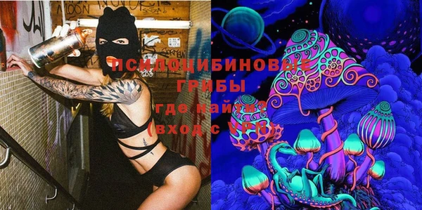 гашик Алексеевка