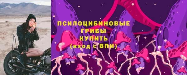 гашик Алексеевка