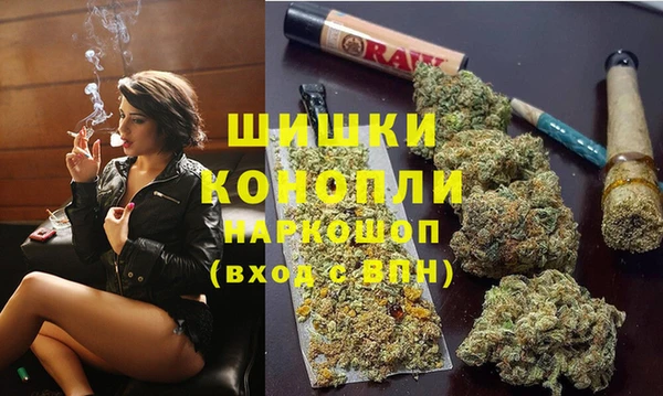 гашик Алексеевка