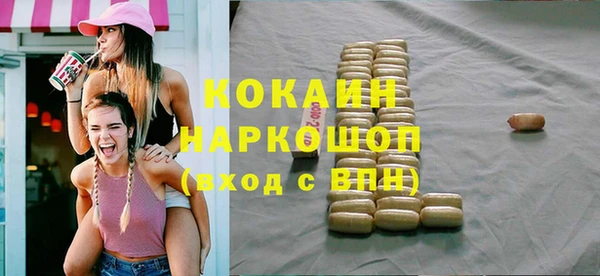 гашик Алексеевка