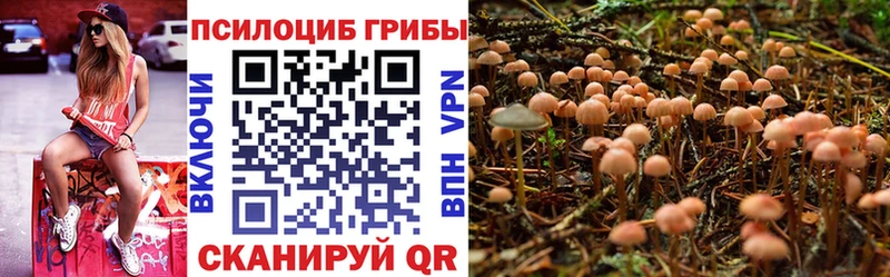Галлюциногенные грибы GOLDEN TEACHER  Цимлянск 